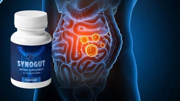 synogut
